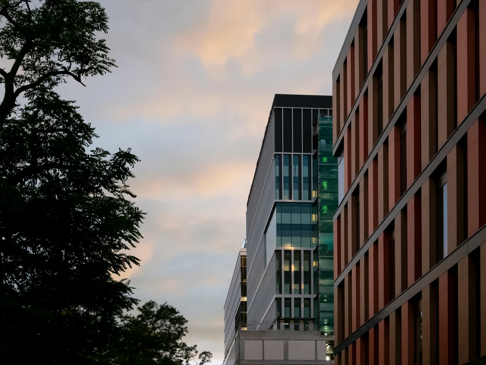 anastasia-yaroshenko-5YPq6uQOeiI-unsplash_result